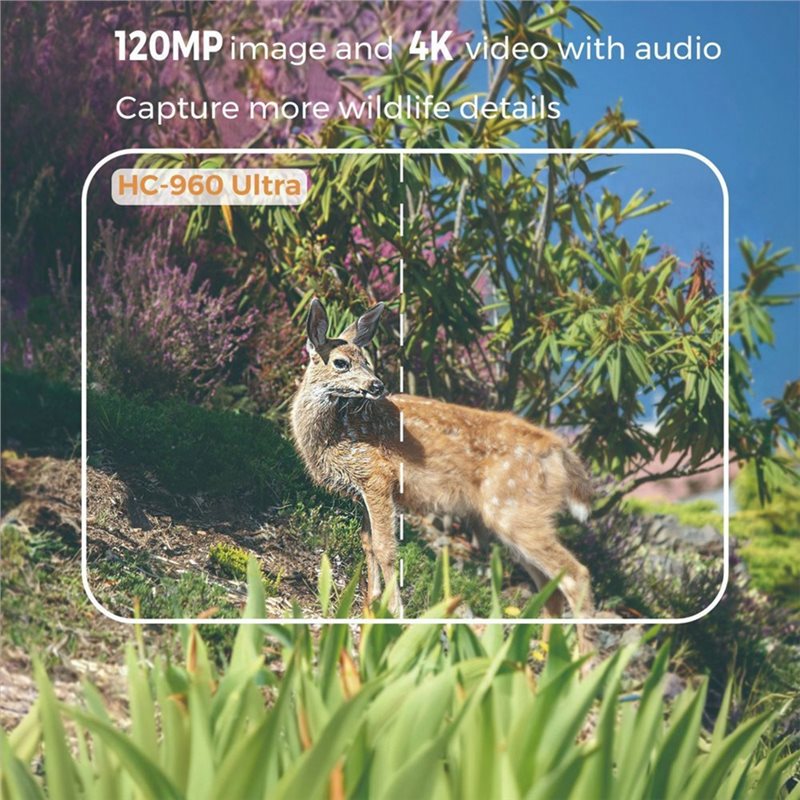 A99E-Outdoor 4G 120MP 4K Live  - огляд і ціна Hunting And Outdoor Shows