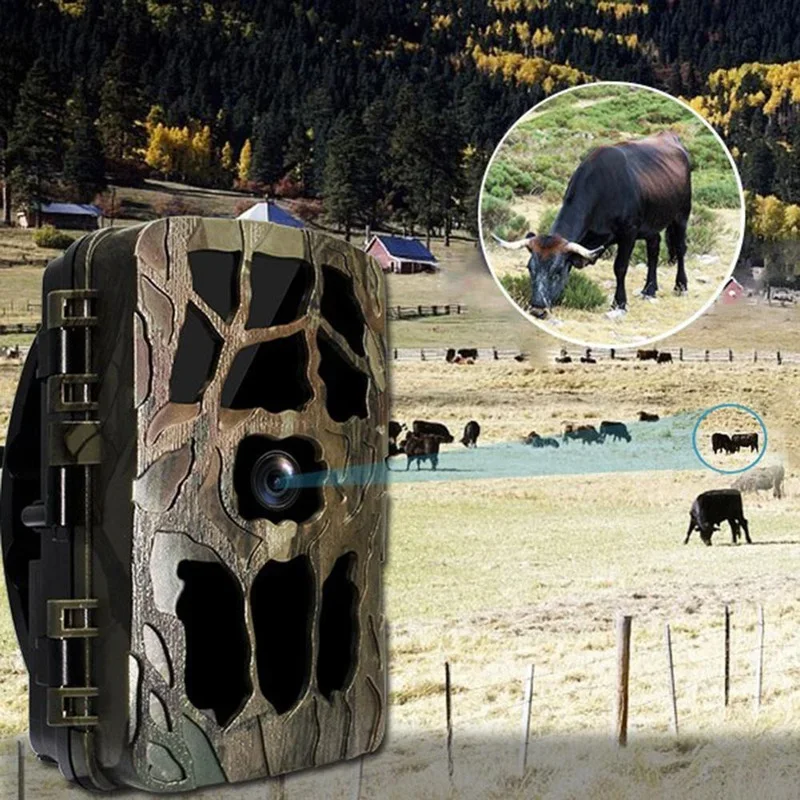 H982 IP66 Waterproof 4K Outdoo - огляд і ціна Outdoor Hunting Images